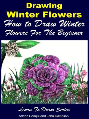 cover image of Drawing Winter Flowers